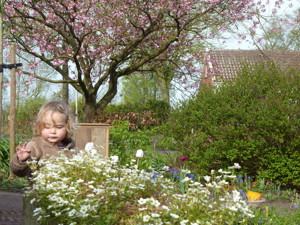 Voorafgaan Schrikken zeil NB#78 Het jonge kind - Sterk geworteld in de tuin - Springzaad