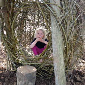 Themadag ‘Bouwen met wilgen in de tuin’, 14 maart 2025, Wilde Weelde Wereld Appeltern