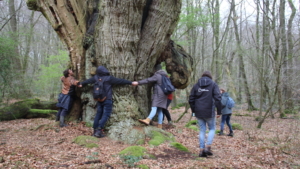 Nieuwe start opleiding Ecologisch Hovenier/Ontwerper